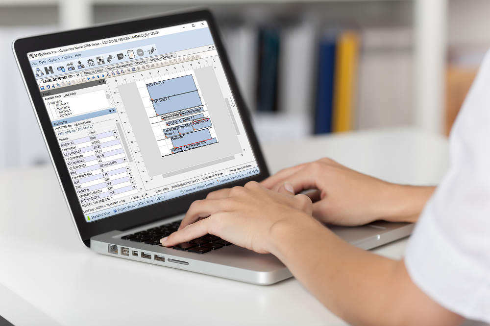 MX Business Reporting